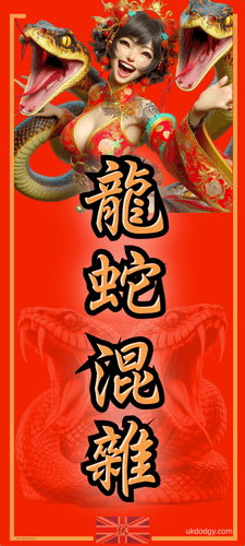 Long xà hỗn tạp (龙蛇混杂)