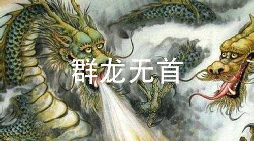 Quần long vô thủ (群龙无首)