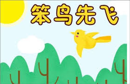 Bổn điểu tiên phi (笨鸟先飞)