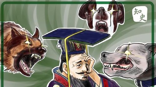 Khuyển nha giao thác (犬牙交错)