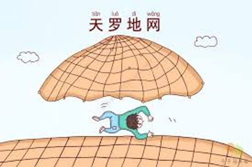 Thiên la địa võng (天罗地网)