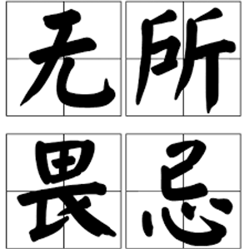 Vô sở úy kỵ (无所畏忌)