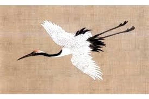 Bất vũ chi hạc (不舞之鹤)