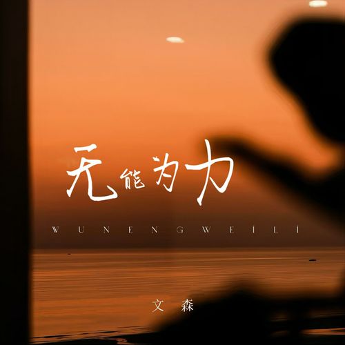 Vô năng vi lực (无能为力)