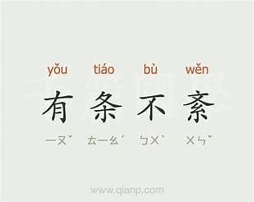 Hữu điều bất vấn (有条不紊)