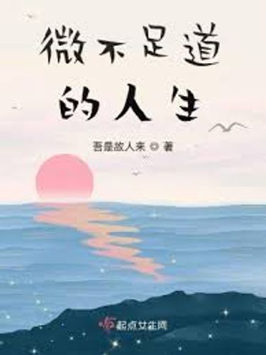 Vi bất túc đạo (微不足道)