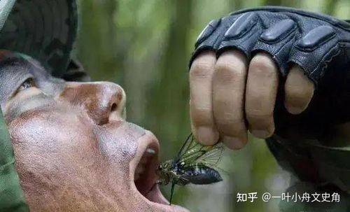 Sinh thôn hoạt bác (生吞活剥)