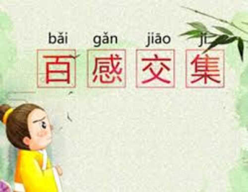Bách cảm giao tập (百感交集)