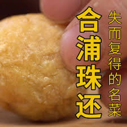 Hợp Phố châu hoàn (合浦珠还)