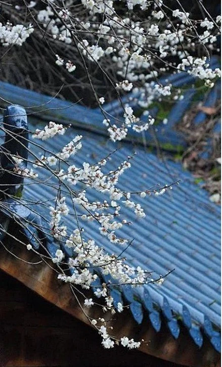 Hình ư ngôn sắc (形于言色)