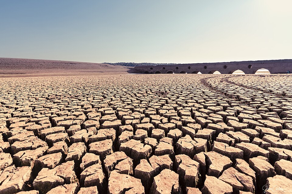 Xích địa thiên lí (赤地千里)