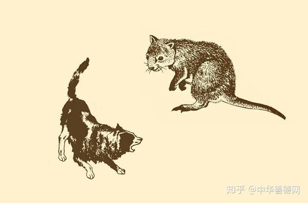 Xã thử mãnh cẩu (社鼠猛狗)