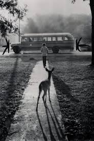 Quỳnh quỳnh kiết lập (茕茕孑立)