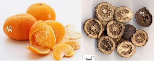 Quất hóa vi chỉ (桔化为枳)