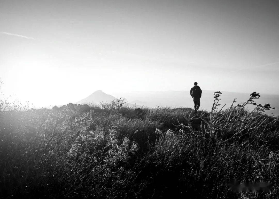 Li quần sách cư (离群索居)