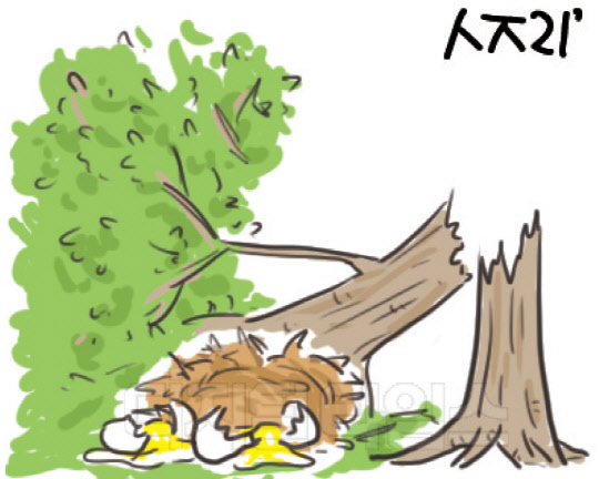 Sào hủy noãn phá (巢毁卵破)